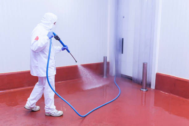 Best Winterizing Services  in Springdale, NJ