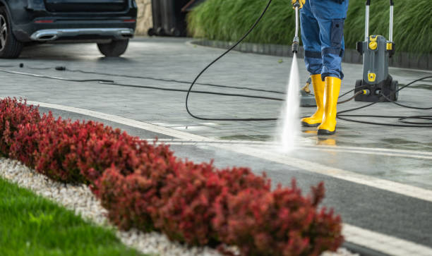 Best Roof Washing  in Springdale, NJ